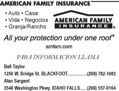 American Family Insurance