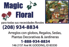 Magic Floral