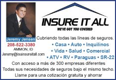 Insure-It-All