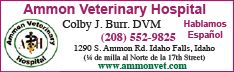 Ammon Veterinary Hospital